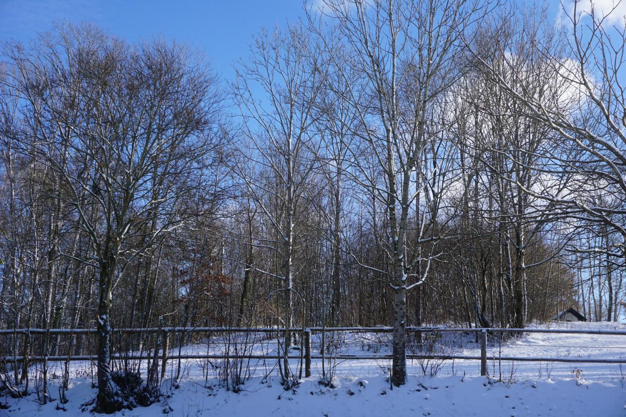 Chalet Waldzeit Zachenberg 外观 照片