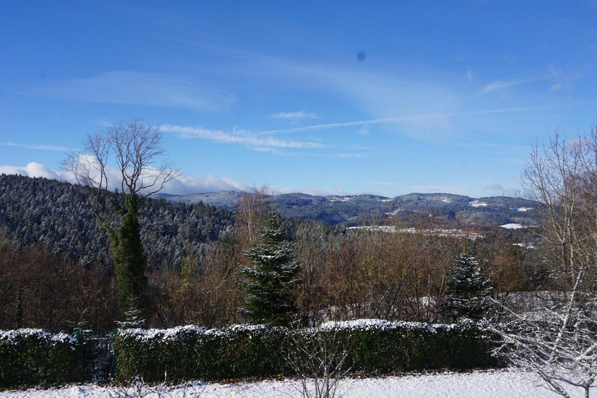 Chalet Waldzeit Zachenberg 外观 照片